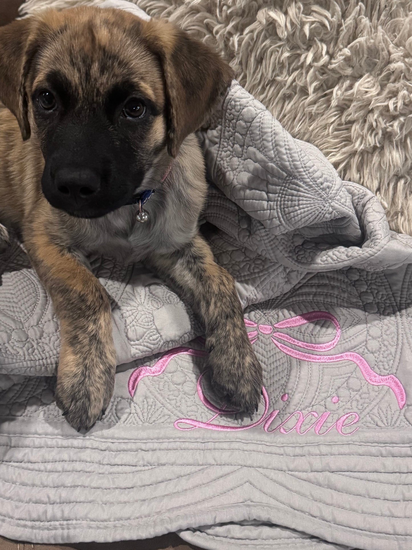 Embroidered Baby Quilt Blanket